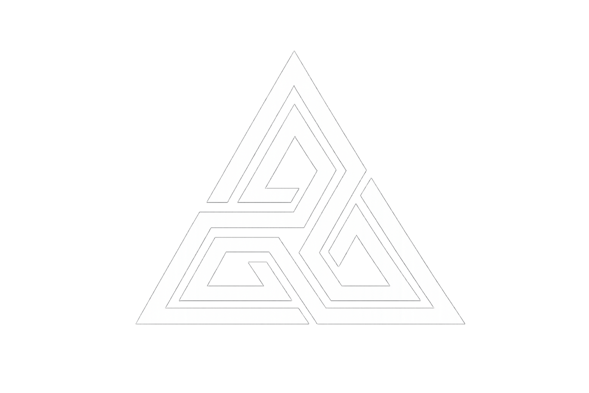 BDM Training Group logo